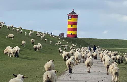 Ferienhaus FRIESENHERZ - Traum-Landhaus mit Sauna & Wallbox - Foto 33