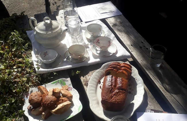 A Cortiña de Canalarrana - Foto 11