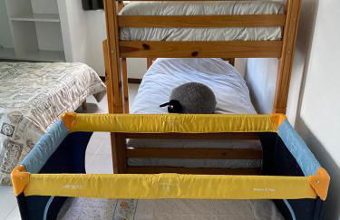 La casa degli Ulivi - Photo 13