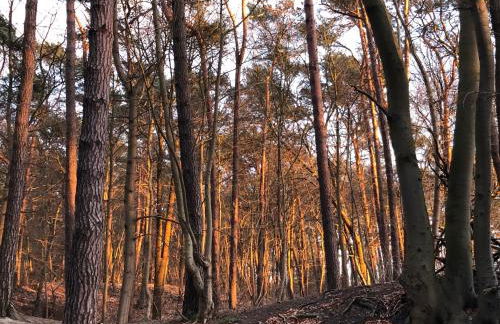 Ferienwohnung Strandnah mit Terrasse - Foto 25