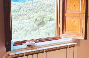 Renovated Tuscan Home overlooking Vineyards - Photo 30