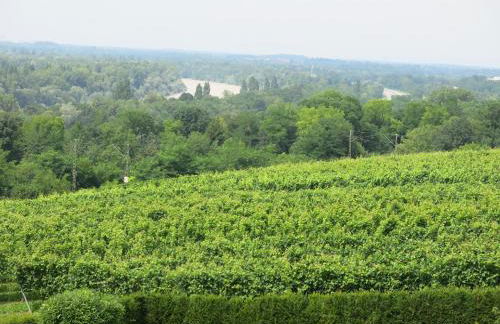 Ferienwohnung Billich - Foto 16