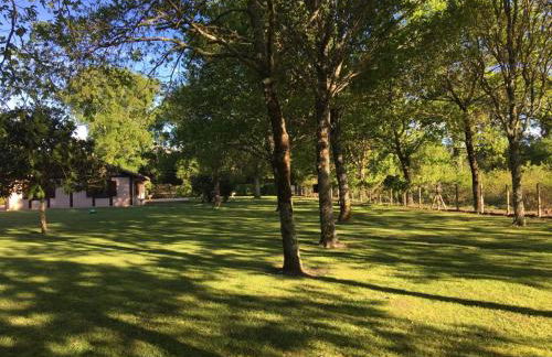 La bergerie des Landes - Foto 21