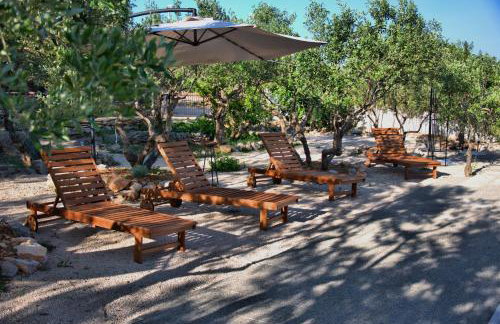 Tvrdic Honey - Photo 22