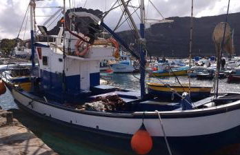 El Nido Agaete - Foto 42