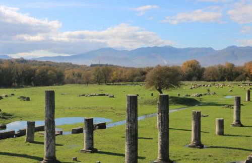 ZenTerra Country house with prive swimming pool and view - Foto 8