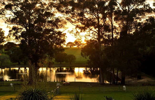 Diamond Forest Farm Stay - Foto 38