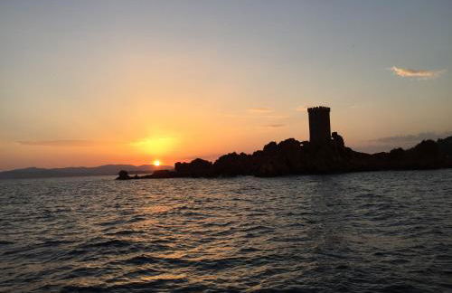 Les cigales - Foto 24