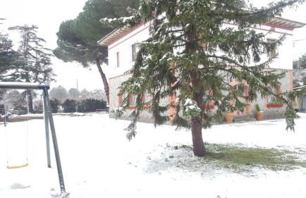 Mas Perdiueta - Foto 20