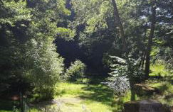 Gîte de la baerenbach - Photo 8