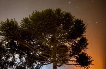 WoodHouse - Casa de campo - 15 min de Canela - Foto 18