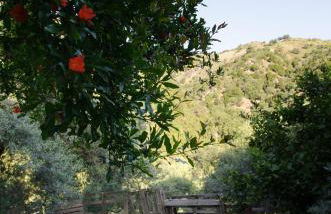 House Of Ntounias ΙΙ - Photo 25