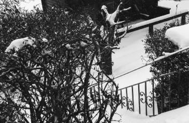 3 Sterne Ferienwohnungen Wachter - Foto 61