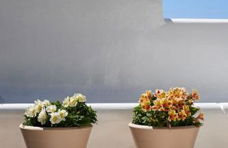 Sand Lily Villa Mykonos - Photo 62