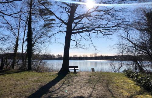 Strandstraße H3W6 Kölpinsee - Foto 43