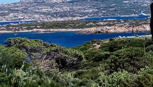 Villa Carlotta la Maddalena - Foto 5