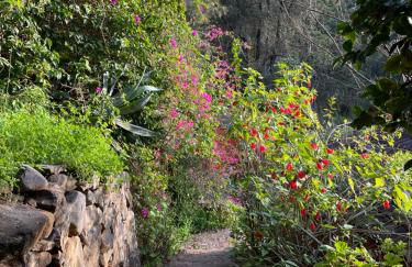 Finca El Lance Zumacal - Foto 14