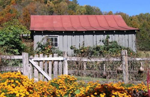 Historic Cabin near Luray Caverns Perfect for a Family Vacation in Virginia - Foto 27