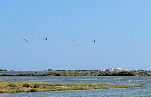 La Calma del Delta - Foto 31