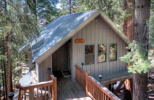 Tree House Lodge - Foto 1