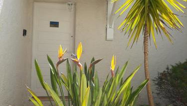 Piccula Casa - Foto 4