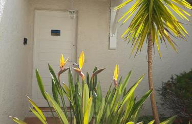 Piccula Casa - Foto 4