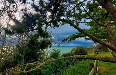 Portec la mer et le sentier côtier à pied - Foto 49