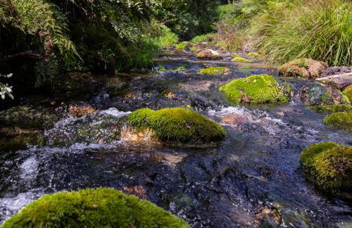 Mill House & Hot Tub extra 15 eur night booked - Foto 37