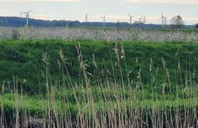 Lühe Loft - direkt am Wasser im Alten Land - Photo 30