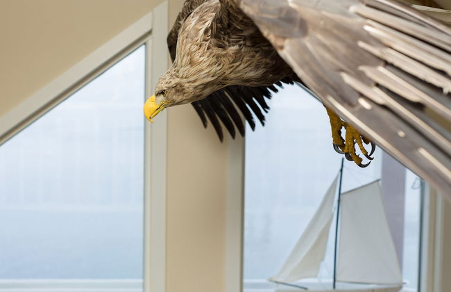 Tjeldsundbrua Maritime - Foto 16