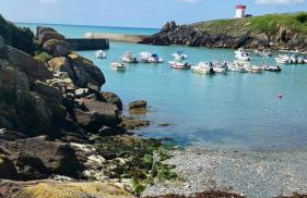 Maison jardin bord de mer Bretagne authentique - Foto 25