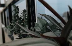 Beira Mar Rio Vermelho 02 - Foto 9