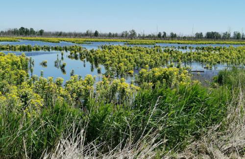 Komfortable großzügige Ferienwohnung am Park - Foto 13