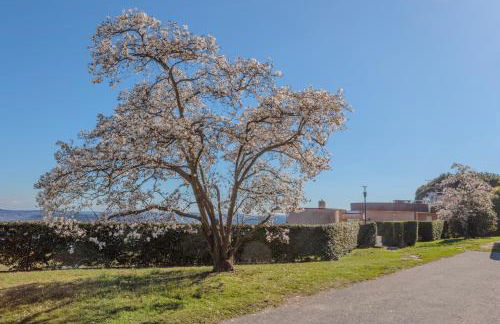 A Ca' di Chiara e Fabio - Panoramica Lago Maggiore - Foto 30