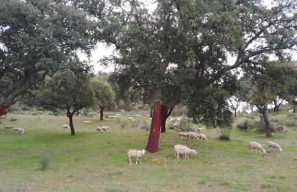 Casa rústica com terraço e jardim - Foto 51
