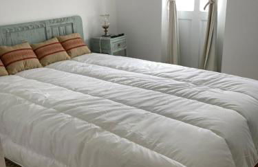 Melro-d' água - Foto 9