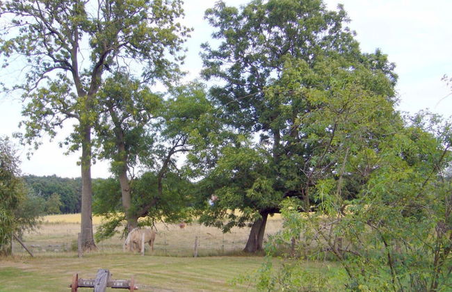 Holiday Apartment Krote 5 - Foto 14