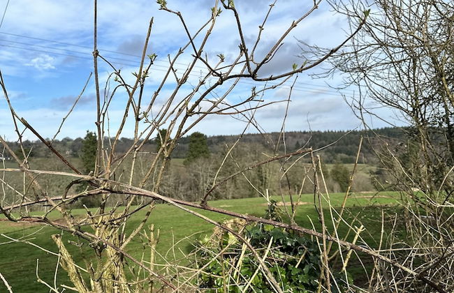 Captivating 1-bed Apartment in Hereford - Foto 14