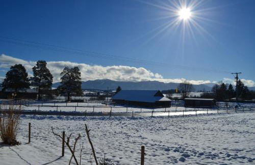 Allgäuferienhaus Sandra - Foto 48