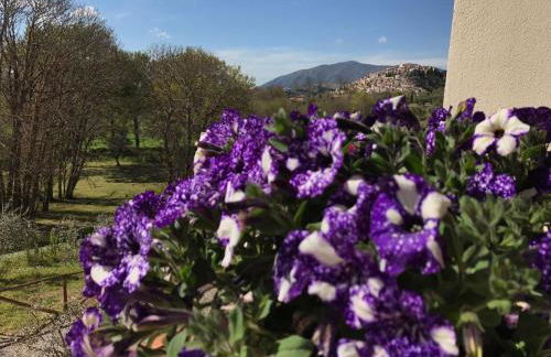 Agriturismo L'Ulivo - Foto 59