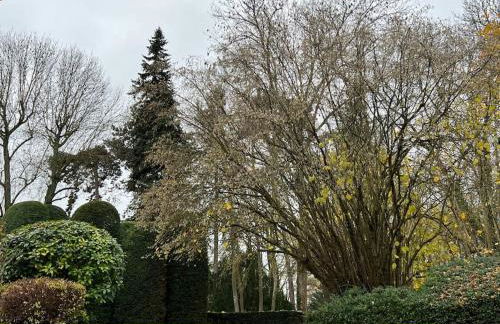 Destination Versailles - Foto 7