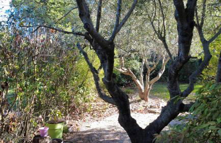 Villa Les Oliviers - Foto 31