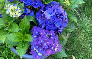 Zum Eulennest - Foto 27