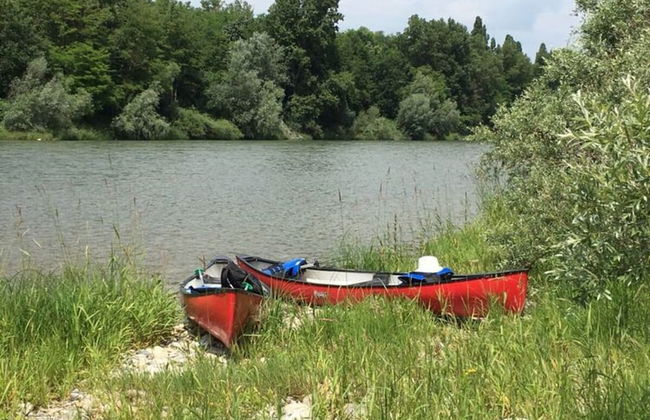 Apartment at the Edge of the Forest - Foto 12
