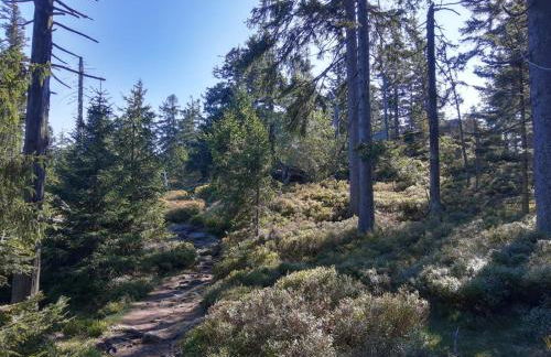 Ferienwohnung Wildgatter - Photo 44