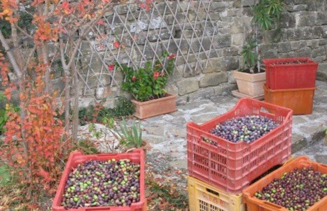 Villa Bella - Foto 17