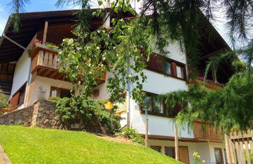 Appartamenti Pichler - Foto 24