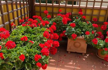 Casa Burano-Relax in Terrazza tra mare e natura - Foto 5