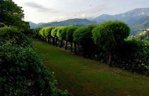 Villa Colletto - Foto 40