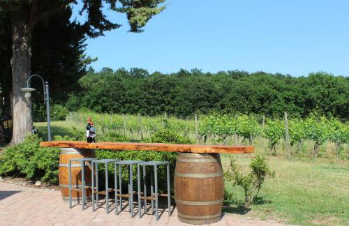 Il Colombaio Winery and Rooms - Foto 32